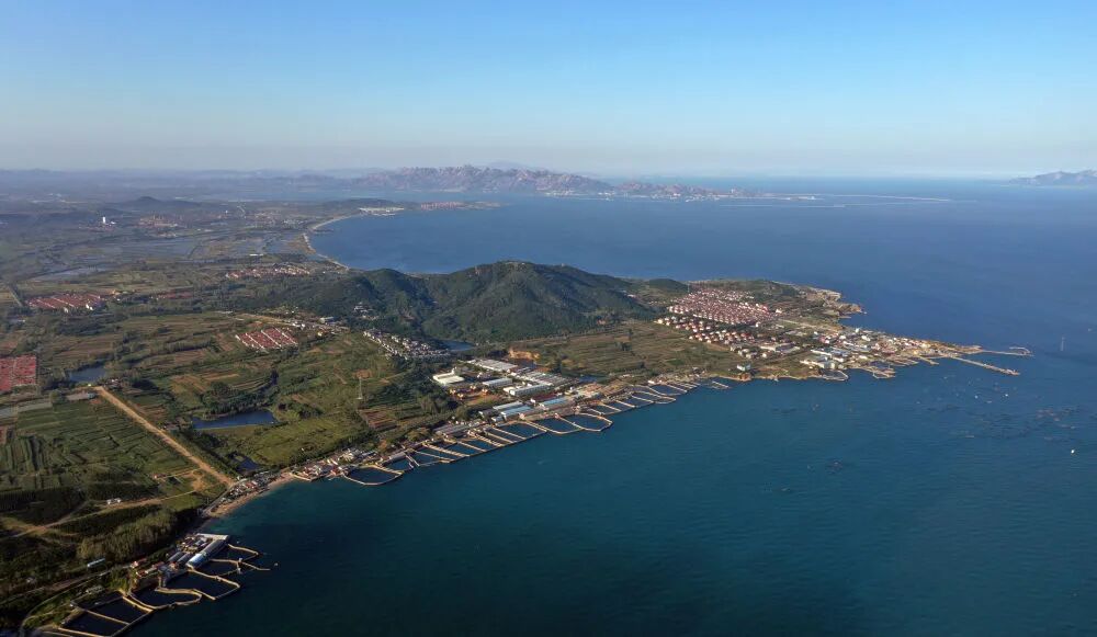 遗址鸟瞰。(中国社科院供图) 遗址鸟瞰。(中国社科院供图)