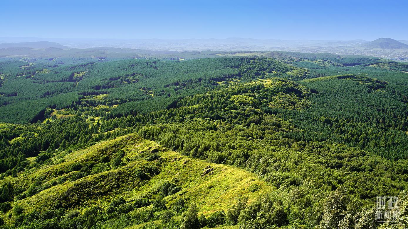 △ 塞罕坝林场。(总台央广记者潘毅拍摄)