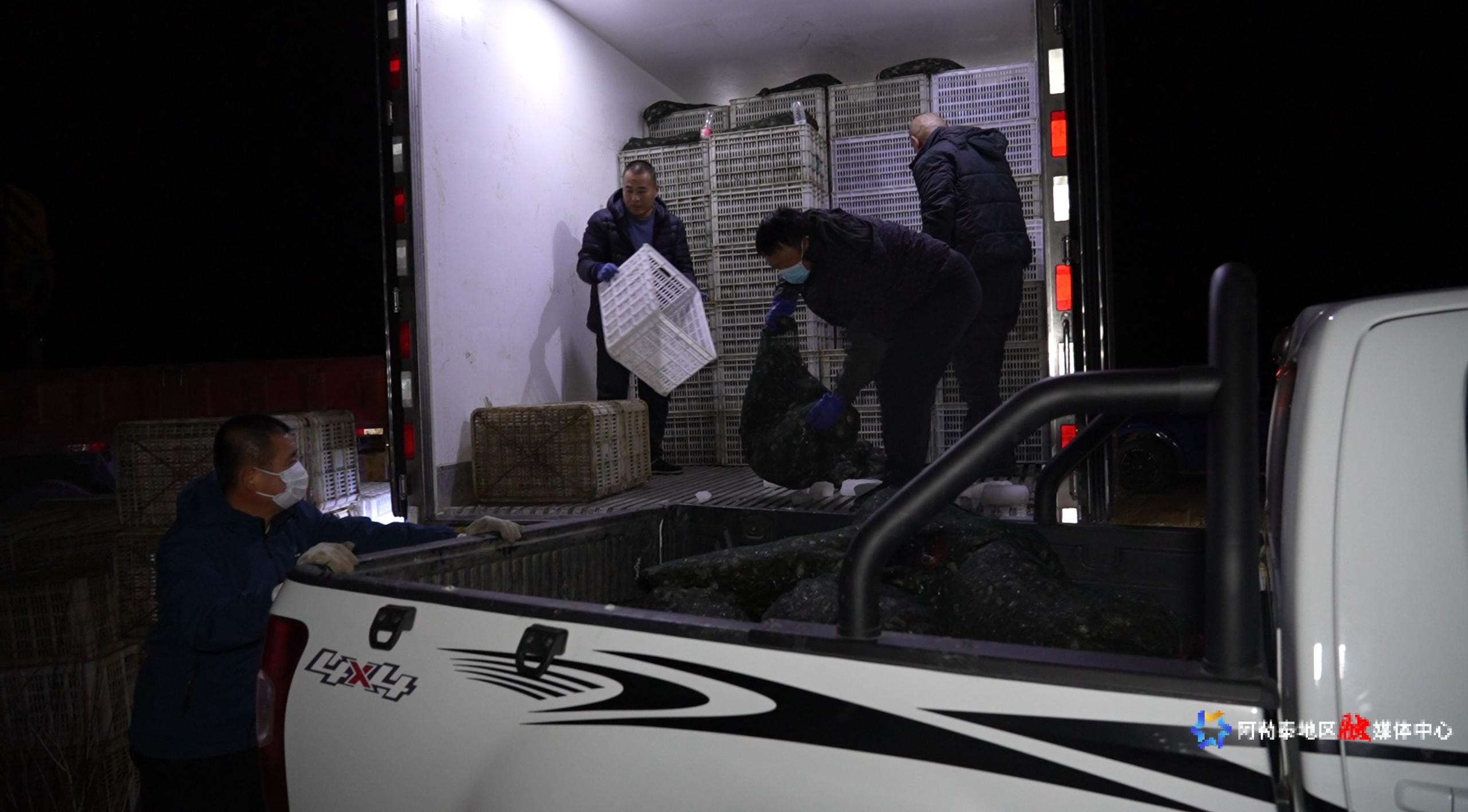 mmexport1762417004265