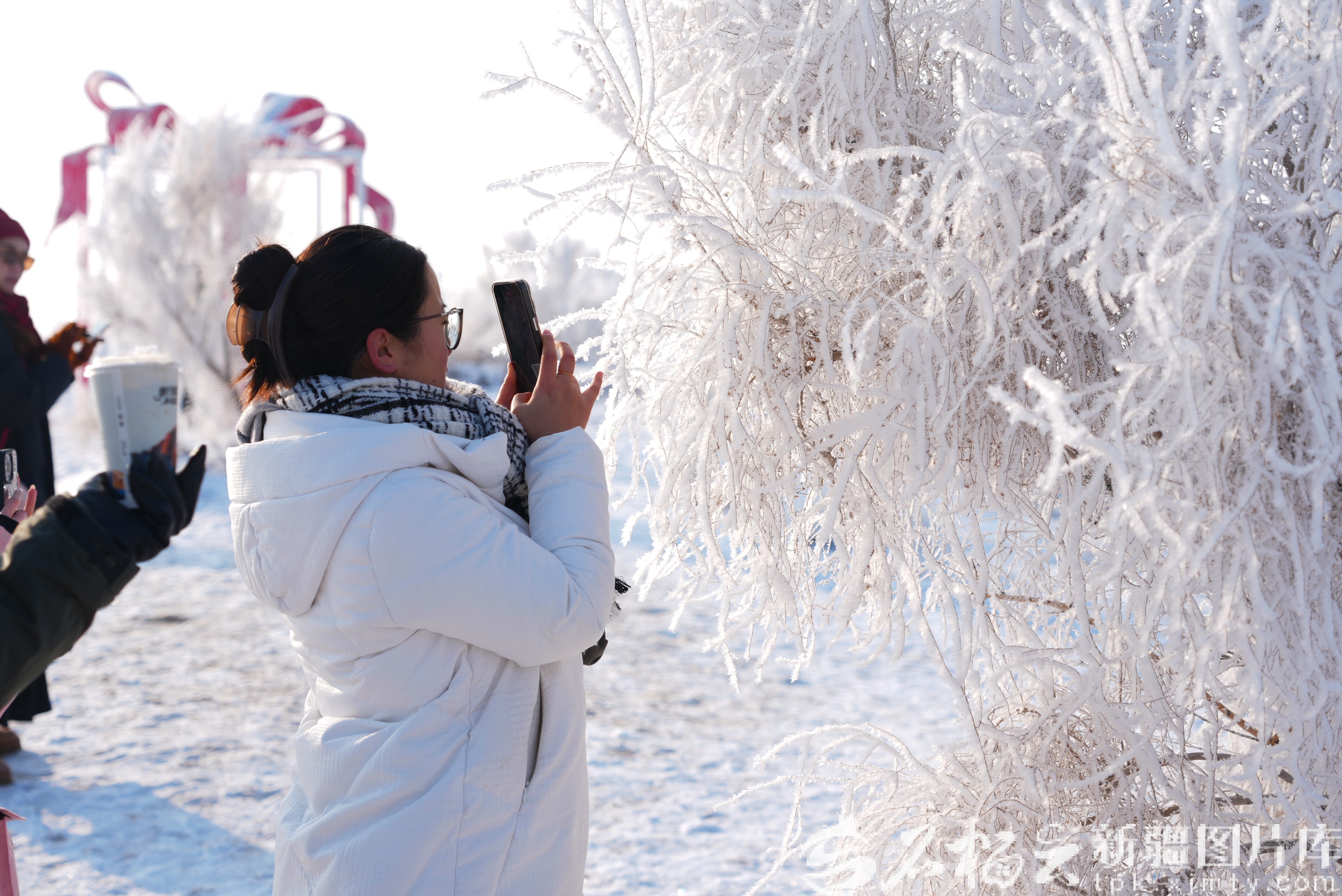 mmexport819b9bdd2a09f2d23443bc162b08908c_1766745873790