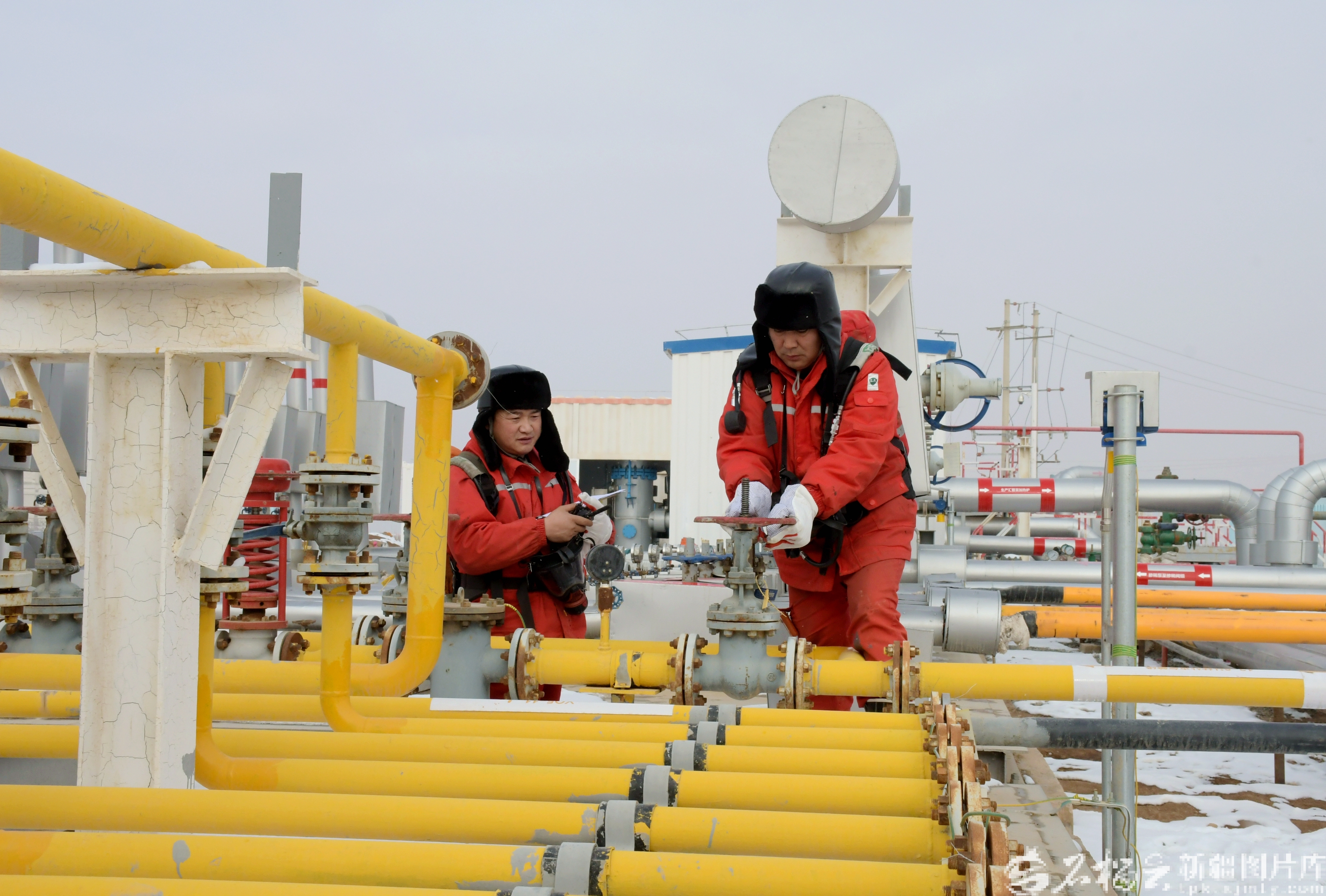 mmexport1768397189072