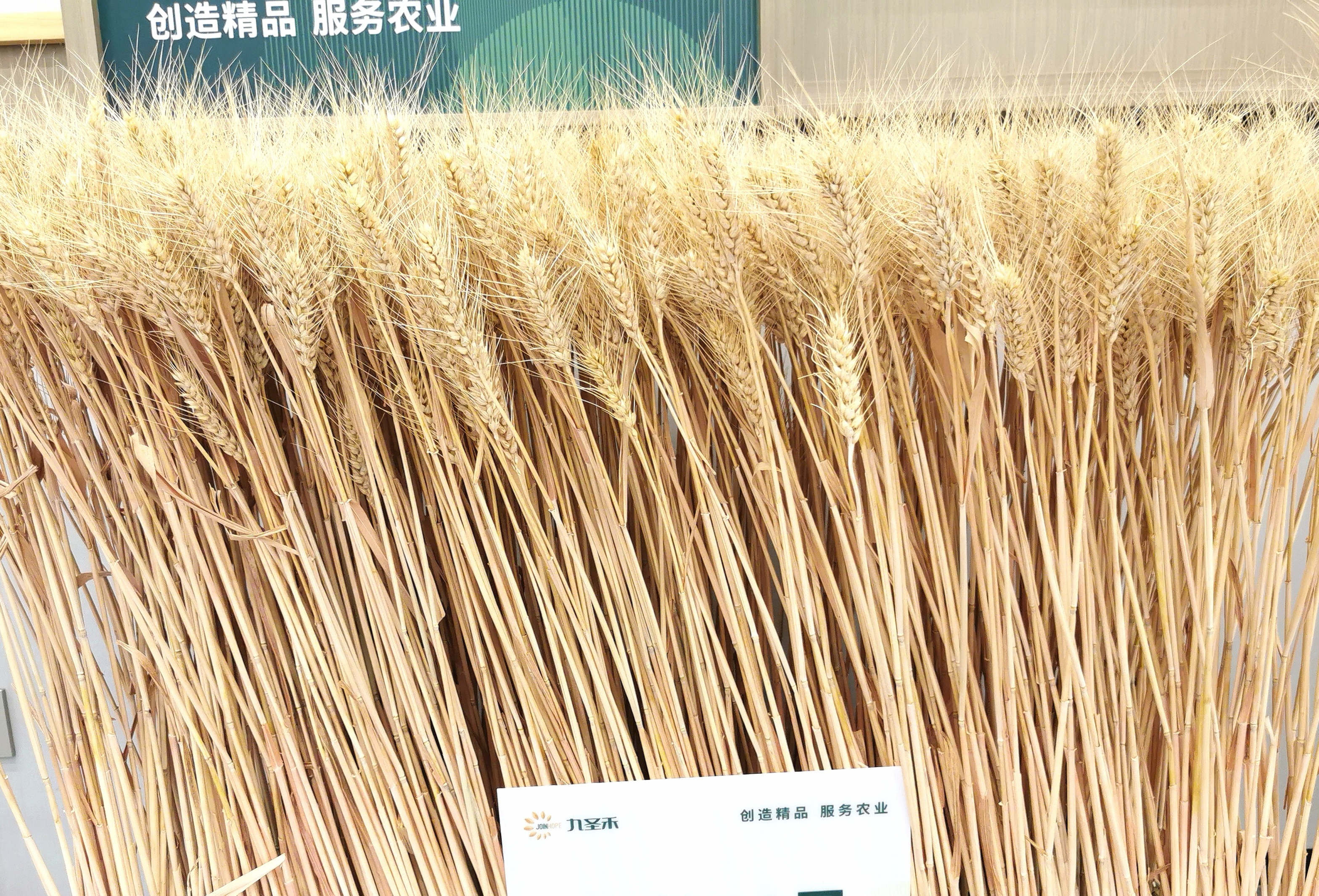 IMG_20260902_225421